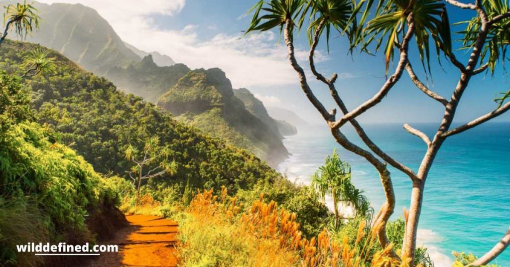 The Magical Na Pali Coast Trail – Discover The Wild Coast